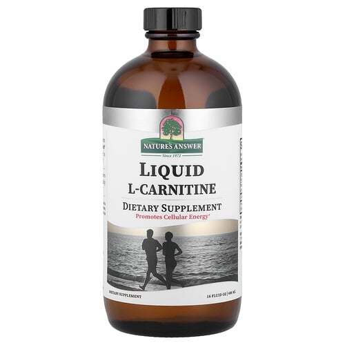Nature S Answer Liquid L Carnitine 16 Fl Oz 480 Ml product image
