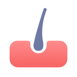Hair Loss & Hair Health icon