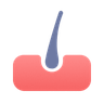 Hair Loss & Hair Health icon