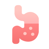 Gut Health & Digestive Care icon