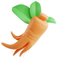 Red ginseng / ginseng image