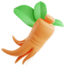 Red ginseng / ginseng category image