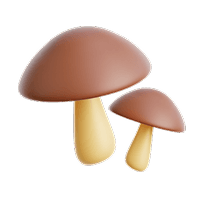 Vitamin D image