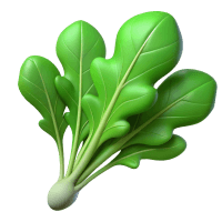 Vitamin K image