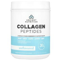 Ancient Nutrition Collagen Peptides Unflavored 1 23 Lb 560 G