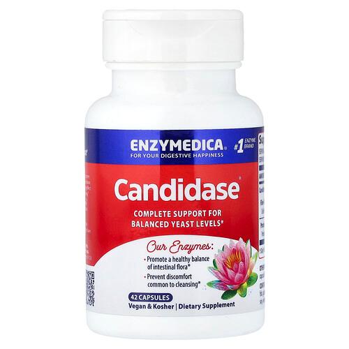 엔자이메디카 Enzymedica, Candidase, 캡슐 42정 product image