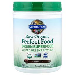 Garden Of Life Raw Organic Perfect Food Green Superfood Chocolate 1 Lb 4 1 Oz 570 G
