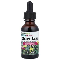 Naturesplus Herbal Actives Olive Leaf Alcohol Free 1 Fl Oz 30 Ml