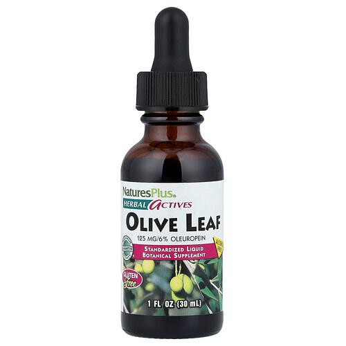 Naturesplus Herbal Actives Olive Leaf Alcohol Free 1 Fl Oz 30 Ml