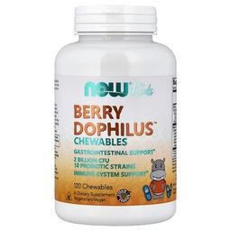 Now Foods Kids Berry Dophilus Chewables 120 Chewables