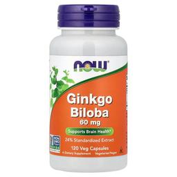 Now Foods Ginkgo Biloba 60 Mg 120 Veg Capsules