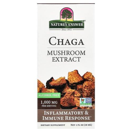Nature S Answer Chaga Mushroom Extract Alcohol Free 1 Fl Oz 30 Ml