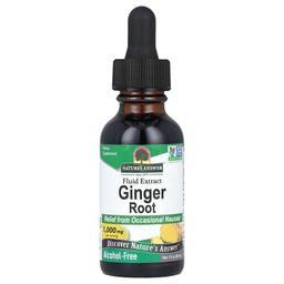 Nature S Answer Ginger Root Fluid Extract Alcohol Free 1 000 Mg 1 Fl Oz 30 Ml