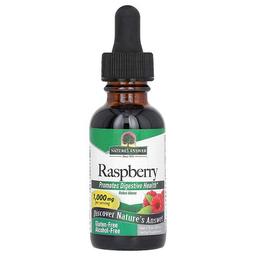 Nature S Answer Raspberry Alcohol Free 1 000 Mg 1 Fl Oz 30 Ml