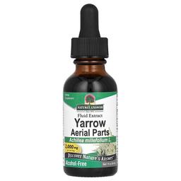 Nature S Answer Yarrow Aerial Parts Alcohol Free 2 000 Mg 1 Fl Oz 30 Ml