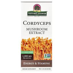 Nature S Answer Cordyceps Mushroom Extract Alcohol Free 1 Fl Oz 30 Ml