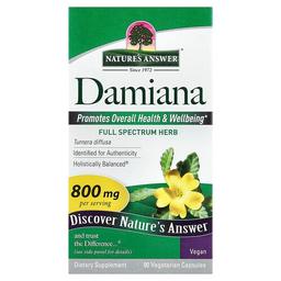 Nature S Answer Damiana 90 Vegetarian Capsules 400 Mg Per Capsule