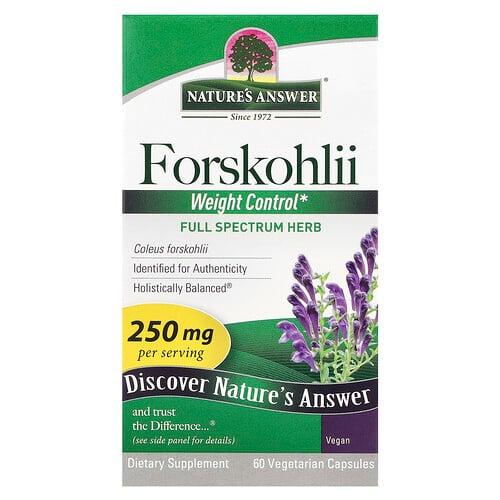 Nature S Answer Forskohlii 250 Mg 60 Vegetarian Capsules