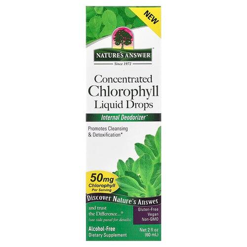 Nature S Answer Concentrated Chlorophyll Liquid Drops Alcohol Free 2 Fl Oz 60 Ml