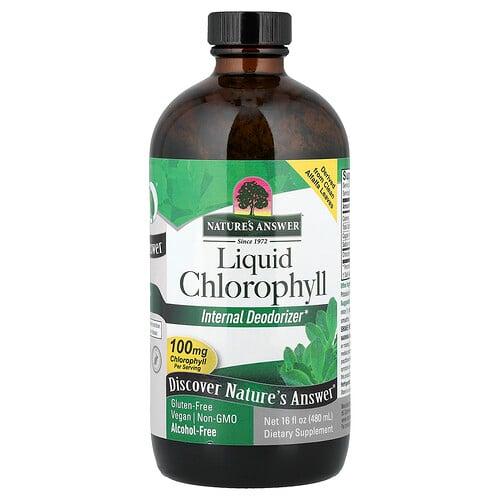 Nature S Answer Liquid Chlorophyll Alcohol Free 16 Fl Oz 480 Ml