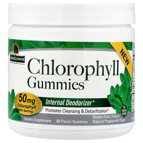 Nature S Answer Chlorophyll Gummies Natural Peppermint 60 Pectin Gummies