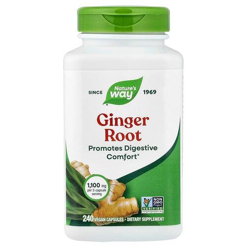 Nature S Way Ginger Root 240 Vegan Capsules 0 55 Mg Per Capsule