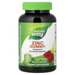 Nature S Way Zinc Gummies Mixed Berry 120 Gummies 11 Mg Per Gummy