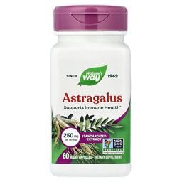 Nature S Way Astragalus 60 Vegan Capsules