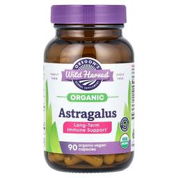 Oregon S Wild Harvest Organic Astragalus 90 Organic Vegan Capsules 375 Mg Per Capsule
