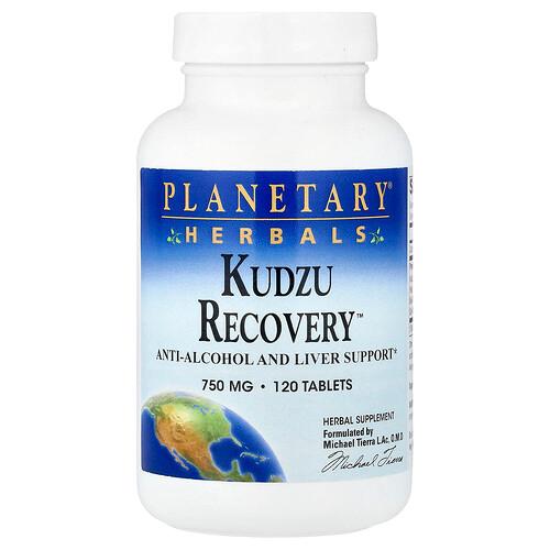 Planetary Herbals Kudzu Recovery 120 Tablets