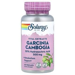 Solaray Vital Extracts Garcinia Cambogia 500 Mg 60 Vegcaps