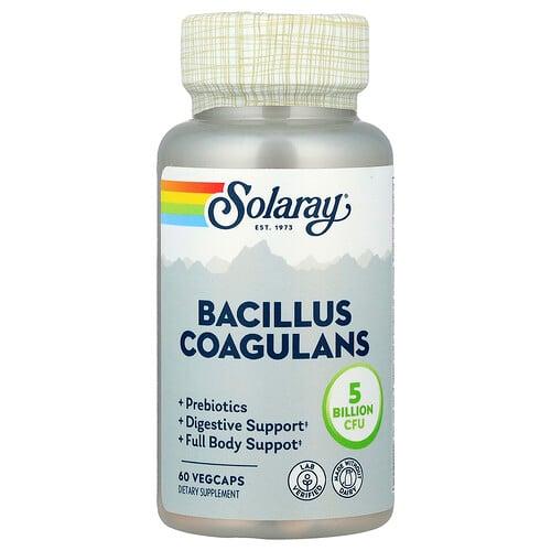 Solaray Bacillus Coagulans 60 Vegcaps