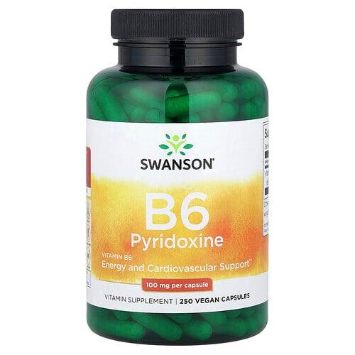 Swanson Vitamins Vitamin B6 Pyridoxine 100 Mg 250 Vegan Capsules product image