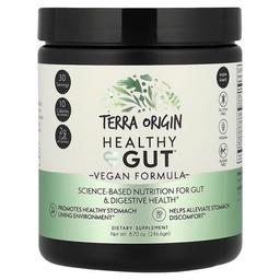 Terra Origin Healthy Gut Vegan Formula 8 7 Oz 246 6 G