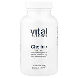 Vital Nutrients Choline 120 Vegan Capsules 275 Mg Per Capsule