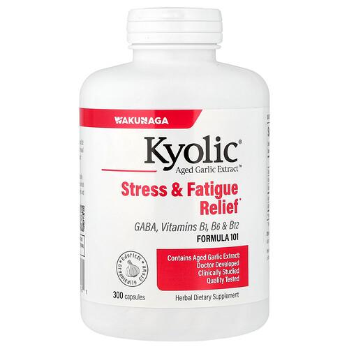 Kyolic Aged Garlic Extract Formula 101 300 Capsules product image