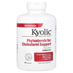Kyolic Aged Garlic Extract Formula 107 240 Capsules