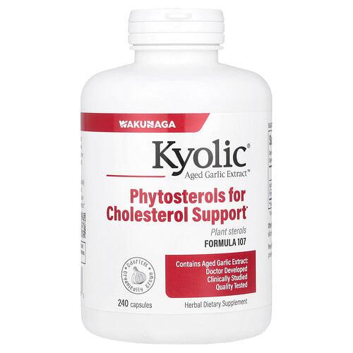 Kyolic Aged Garlic Extract Formula 107 240 Capsules