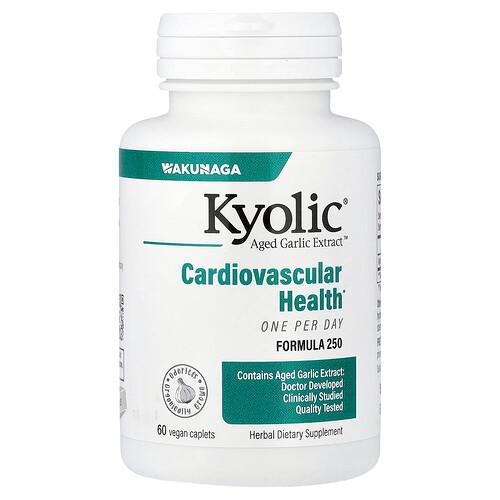 Kyolic Aged Garlic Extract Cardiovascular Health One Per Day Formula 250 60 Vegan Caplets 1 000 Mg Per Capsule