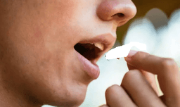 Insects Are Excellent Protein Sources