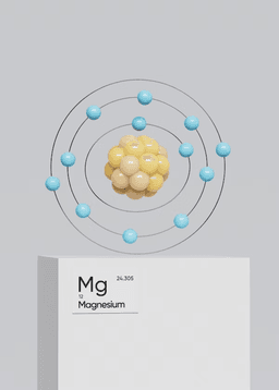 Which Magnesium Should You Take? - Summary of Magnesium Types by Characteristics and Symptom-Based Recommendations