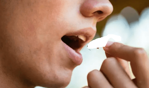 Insects Are Excellent Protein Sources