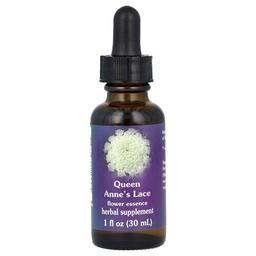 Flower Essence Services Queen Anne S Lace Flower Essence 1 Fl Oz 30 Ml