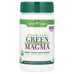 Green Foods Green Magma Barley Grass Juice Powder 2 8 Oz 80 G