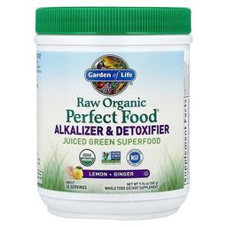 Garden Of Life Raw Organic Perfect Food Alkalizer Detoxifier Lemon Ginger 9 94 Oz 282 G