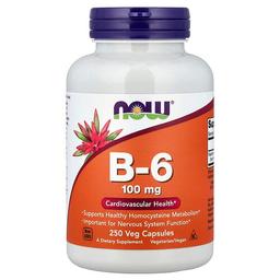 Now Foods B 6 100 Mg 250 Veg Capsules
