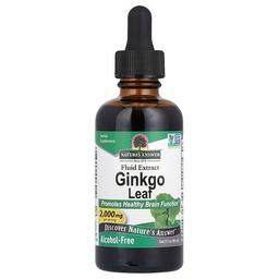 Nature S Answer Ginkgo Leaf Fluid Extract Alcohol Free 2 Fl Oz 60 Ml