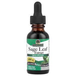 Nature S Answer Sage Leaf Extract Alcohol Free 255 Mg 1 Fl Oz 30 Ml