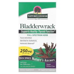 Nature S Answer Bladderwrack 250 Mg 90 Vegetarian Capsules