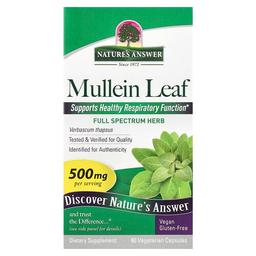 Nature S Answer Mullein Leaf 500 Mg 90 Vegetarian Capsules